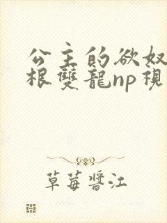 公主的欲奴h四根双龙np视频