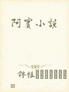 阿宾小说