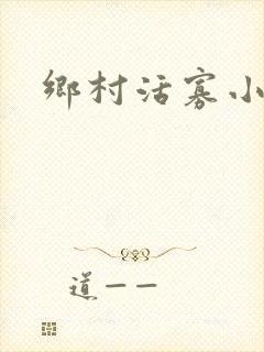 乡村活寡小说封面