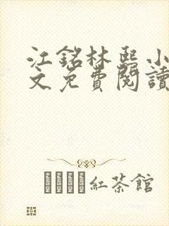 江铭林熙小说全文免费阅读