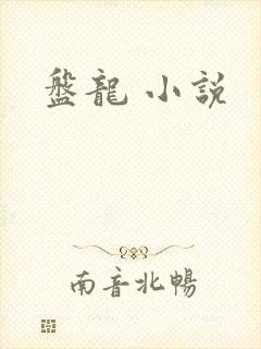 盘龙 小说