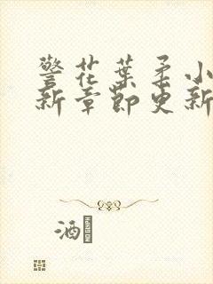 警花叶柔小说最新章节更新