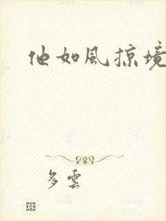 他如风掠境封面