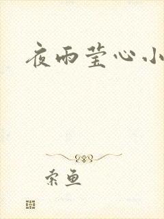夜雨莹心小说
