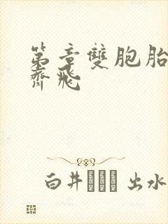 第章双胞胎姐妹齐飞封面