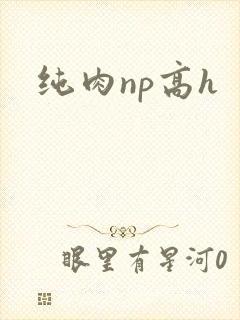 纯肉np高h