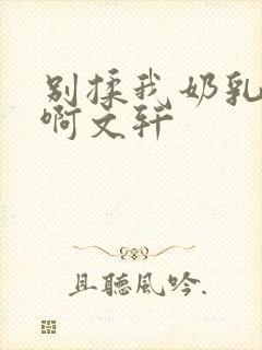 别揉我奶乳嗯～啊文轩