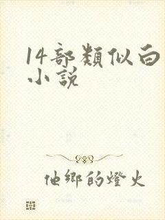 14部类似白洁小说封面