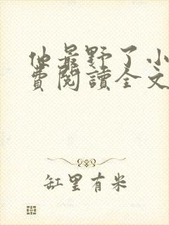 他最野了小说免费阅读全文