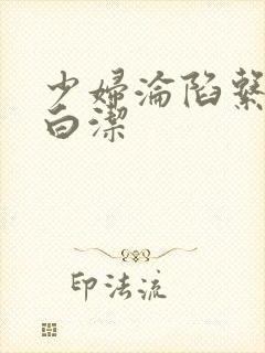 少妇沦陷系列之白洁封面