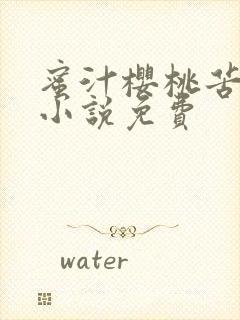 蜜汁樱桃苦咖啡小说免费封面