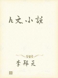 h文小说封面