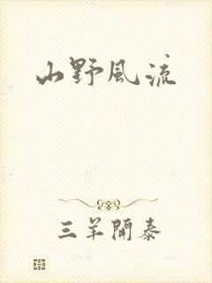 山野风流封面