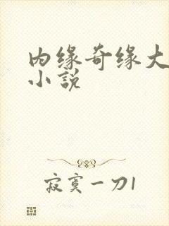 内缘奇缘大团圆小说