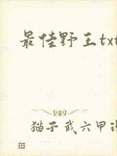最佳野王txt