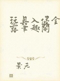 玩具入侵金银花露笔趣阁封面