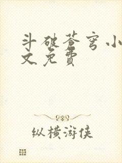 斗破苍穹小说全文免费封面