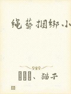 绳艺捆绑小说封面