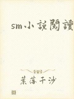 sm小说阅读