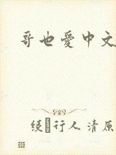 哥也爱中文封面