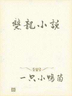 双龙小说