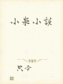 小米小说