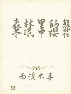 森林里的熊先生冬眠中樱花动漫