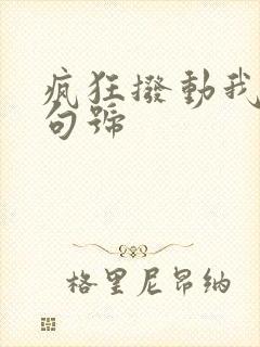 疯狂拨动我的小句号封面