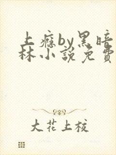 上瘾by黑暗森林小说免费