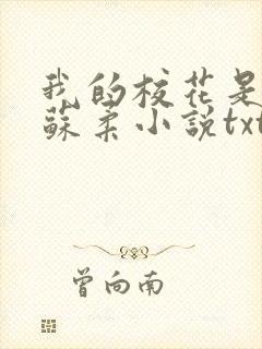 我的校花是福姬苏柔小说txt