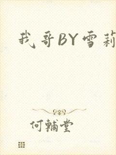 我哥BY雪莉封面