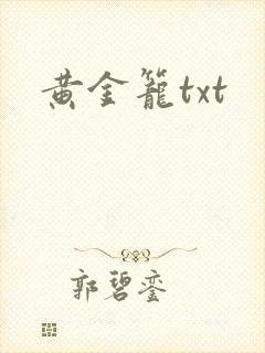 黄金笼txt