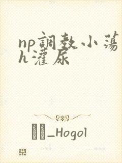 np调教小荡货h灌尿封面