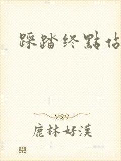 踩踏终点站封面