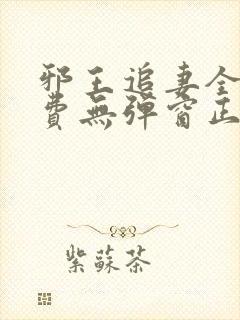 邪王追妻全文免费无弹窗正版