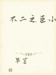 不二之臣小说