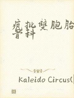 疯批双胞胎兄弟骨科封面