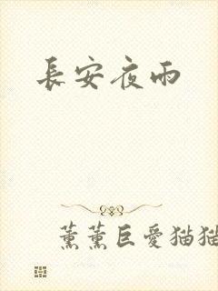 长安夜雨