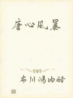 唐心风暴