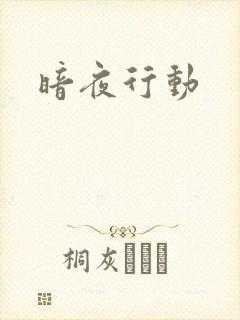 暗夜行动