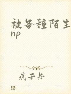 被各种陌生人 np封面