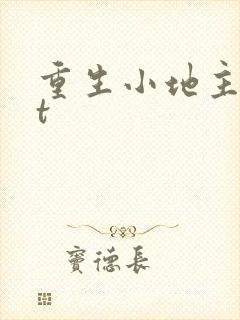 重生小地主txt