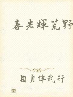 春光辉荒野封面