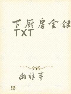 下厨房金银花露 TXT