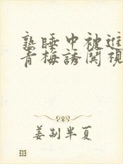 熟睡中被进了H青梅诱哄视频