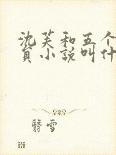 沈芙和五个消防员小说叫什么封面