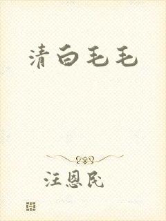 清白毛毛