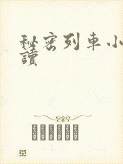 秘密列车小说阅读