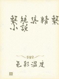 系统集精系统 小说