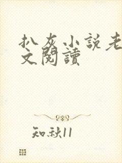 扒灰小说老马全文阅读封面